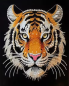 Preview: Diamond Painting Tiger
